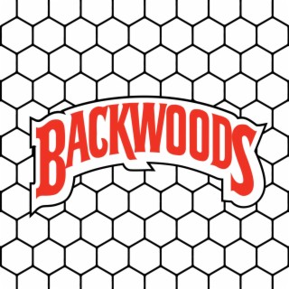Backwoods lyrics | Boomplay Music