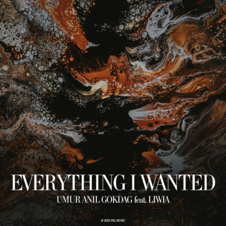 Everything I Wanted (Original Mix) ft. Liwia | Boomplay Music