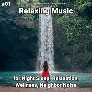 #01 Relaxing Music for Night Sleep, Relaxation, Wellness, Neighbor Noise