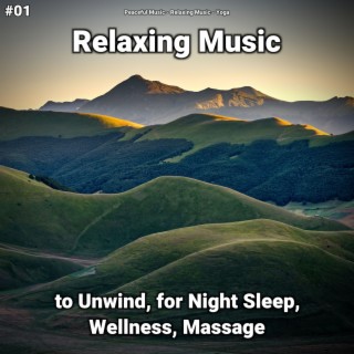 #01 Relaxing Music to Unwind, for Night Sleep, Wellness, Massage