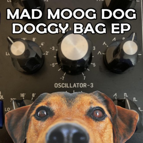 Barking Mad | Boomplay Music