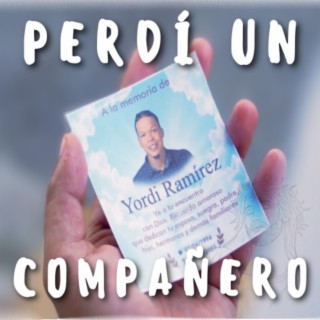 Perdí un compañero