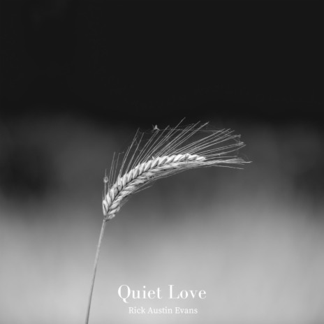 Quiet Love | Boomplay Music