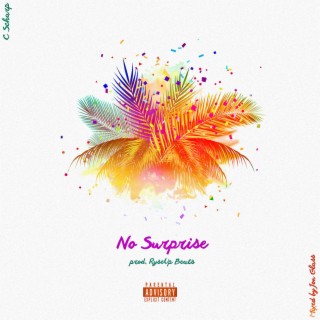 No Surprise lyrics | Boomplay Music