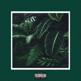 Poison Ivy lyrics | Boomplay Music