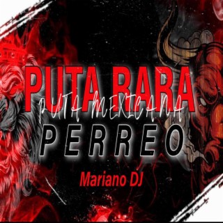 Puta Rara, Puta Mexicana Vs Perreo