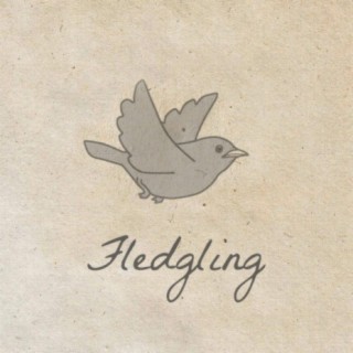 Fledgling lyrics | Boomplay Music