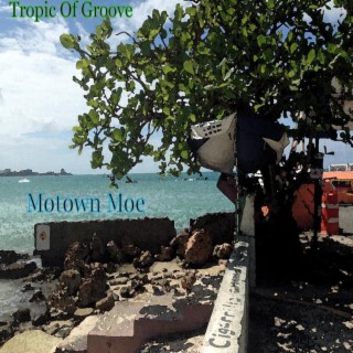 Tropic of Groove