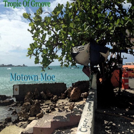 Tropic of Groove | Boomplay Music