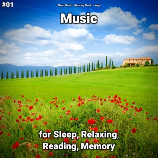 #01 Music for Sleep, Relaxing, Reading, Memory