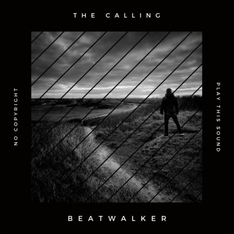 The Calling | Boomplay Music