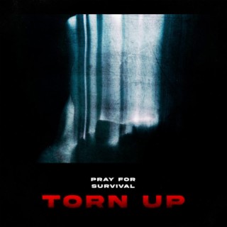 Torn Up ft. Yung Zime & AOKAMI lyrics | Boomplay Music