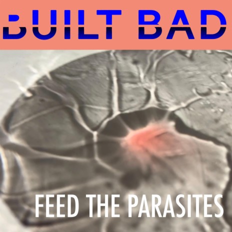 Feed The Parasites | Boomplay Music
