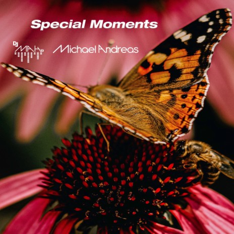 Special Moments | Boomplay Music
