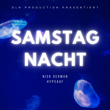 Samstag Nacht (feat. HypSauf)