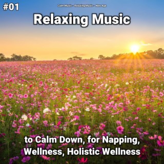 #01 Relaxing Music to Calm Down, for Napping, Wellness, Holistic Wellness
