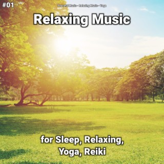 #01 Relaxing Music for Sleep, Relaxing, Yoga, Reiki