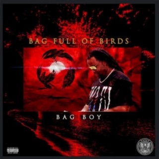 Bag Full Of Birds