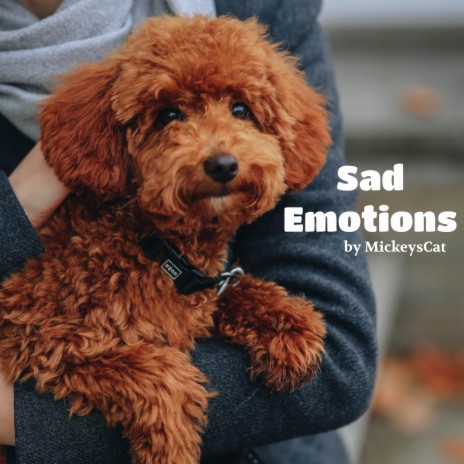 Sad Emotions | Boomplay Music