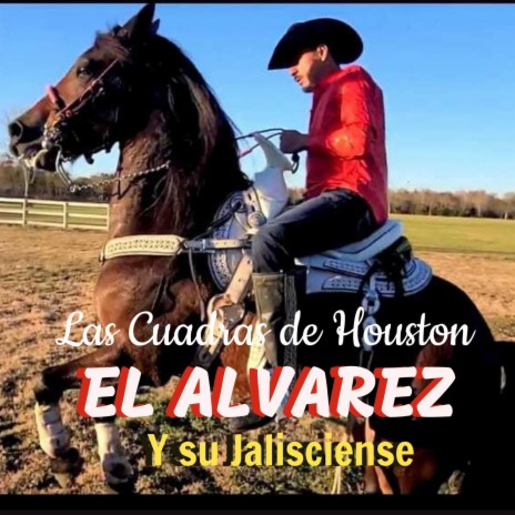 LAS CUADRAS DE HOUSTON