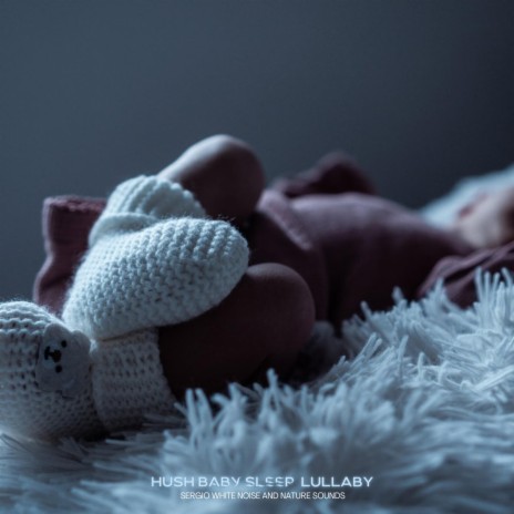 Hush Baby sleep Lullaby | Boomplay Music