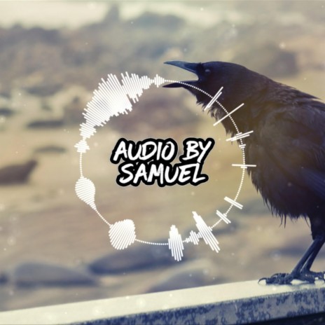 Loudest Crow | Boomplay Music