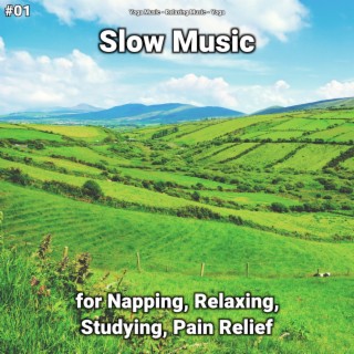#01 Slow Music for Napping, Relaxing, Studying, Pain Relief
