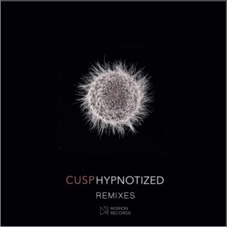 Hypnotized (Remixes)