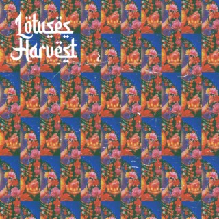 Lotuses Harvest vol. 1