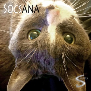 Socsana