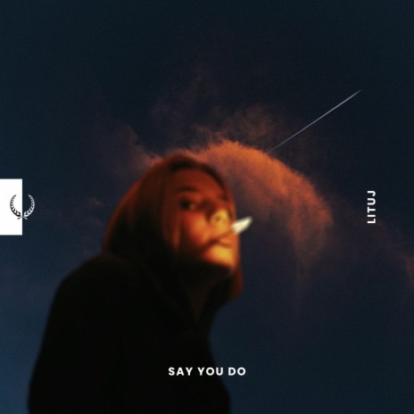 Say You Do | Boomplay Music