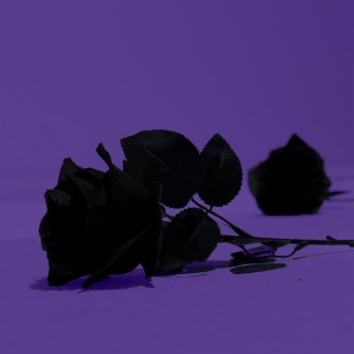 PURPLE (PRINTEMPS) lyrics | Boomplay Music