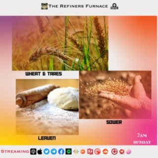 THE PARABLES OF THE WHEAT & TARES, THE SOWER AND THE LEAVEN