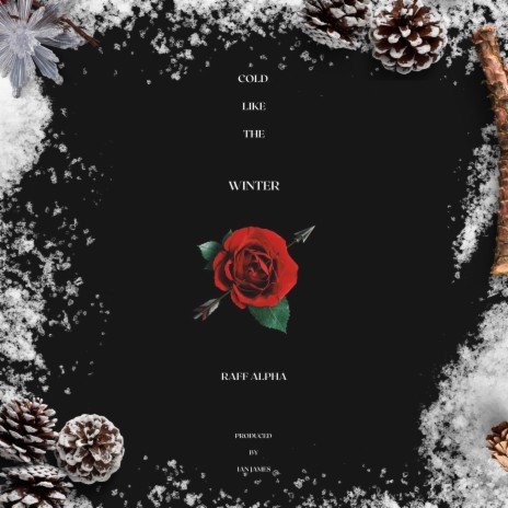 Cold Like The Winter | Boomplay Music