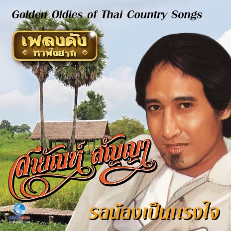 สิ้นสงสารฉันตาย | Boomplay Music