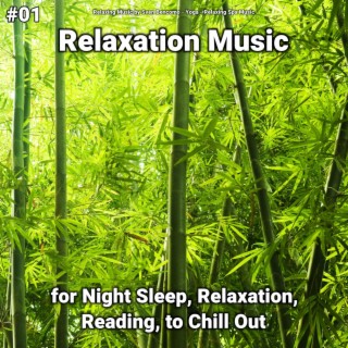 #01 Relaxation Music for Night Sleep, Relaxation, Reading, to Chill Out