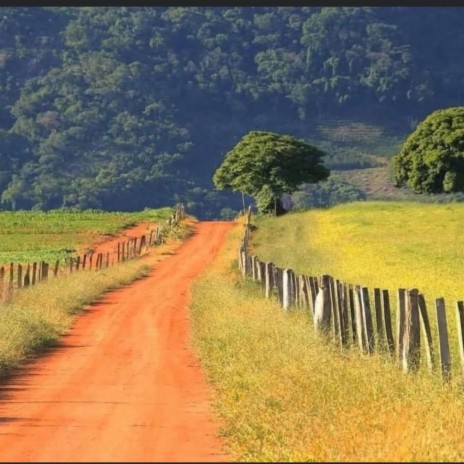 Por el caminito largo ft. Bochin Acosta | Boomplay Music