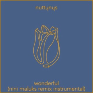 Wonderful [Instrumental]