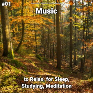 #01 Music to Relax, for Sleep, Studying, Meditation