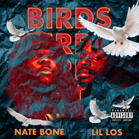 BIRDS ft. Lil Los | Boomplay Music