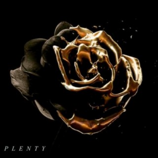 Plenty lyrics | Boomplay Music