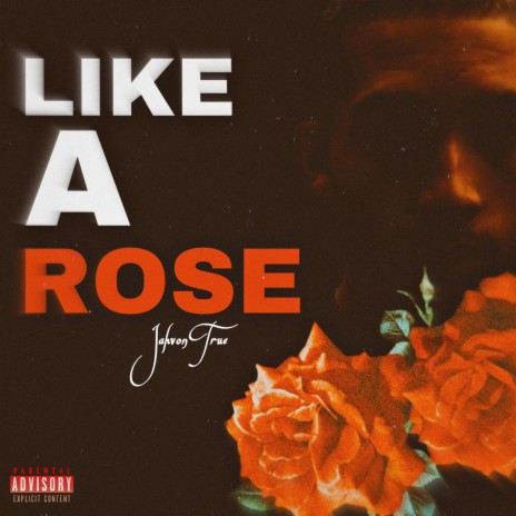 Like A Rose | Boomplay Music