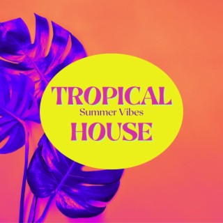 Tropical House: Summer Vibes Sexy Beach Party Songs