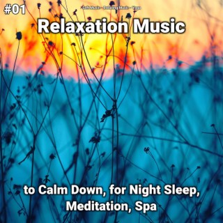 #01 Relaxation Music to Calm Down, for Night Sleep, Meditation, Spa