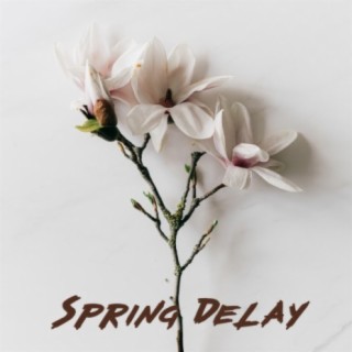 Spring Delay