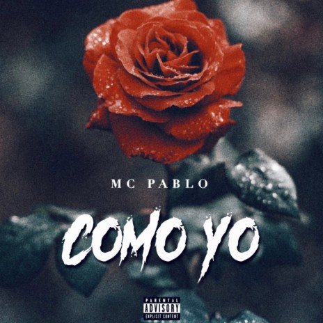 Como Yo | Boomplay Music