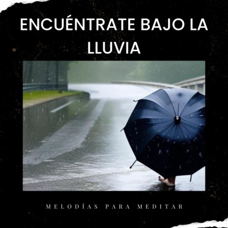 Oportunidades En El Diluvio ft. Meditación Guiada & Meditaciónessa