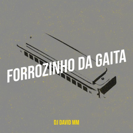 Forrozinho da Gaita ft. Wanted no Beat | Boomplay Music