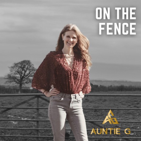 On the fence | Boomplay Music