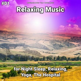 #01 Relaxing Music for Night Sleep, Relaxing, Yoga, The Hospital